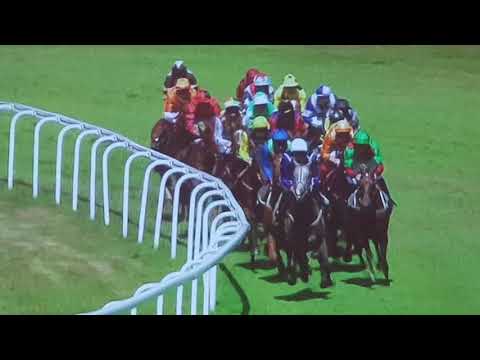 Goodwood 2018 Golden Mile-seniority