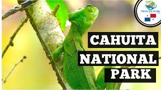 Exploring cahuita national park &  Bri Bri waterfall Costa Rica | Backpacking Costa Rica [S3-E9]