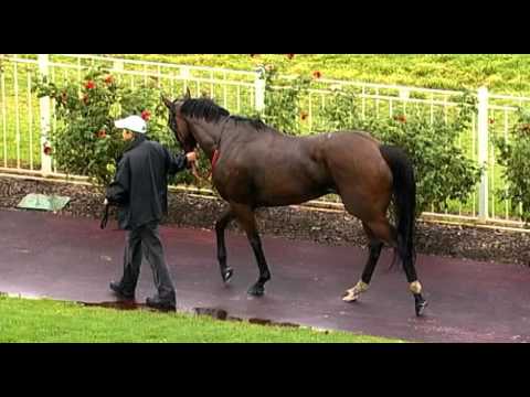 Ascot, 26/03/2016 - Race 5 - WINK AND A NOD - JUSTIN WARWICK & LUCY WARWICK