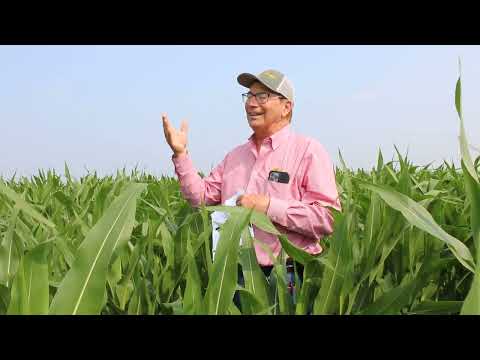 Marion Calmer delinea 3 approcci per il posizionamento di fosforo e potassio