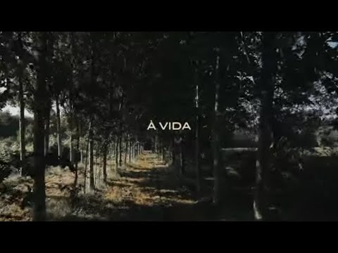 Michel Ribeiro - À Vida (Official video)