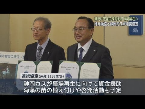 YouTube Video 漁業組合などと静岡ガスが藻場再生で協定を結ぶ　磯焼けが深刻な榛南地域の藻場再生が目的