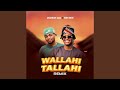 Wallahi Tallahi (feat. Erm Boii) (Remix)