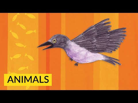 Maitreya Bapat Storyweaver children story Hindi voice over 