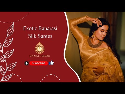 Magnetic Banarasi Sarees |@monideepa | 10000+ Likes on Insta