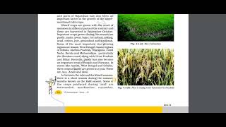 CBSE 10  | Geography  | Chapter 4 - Agriculture | Part 1 | Audiobook