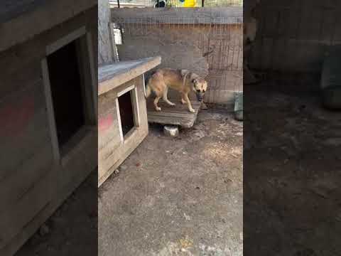 NAMIRA - September 2024