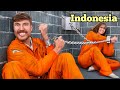 Bertahan 100 Hari Terjebak, Menangkan $500,000 |Indonesian Dubbed |MrBeast Dijuluki Bahasa Indonesia