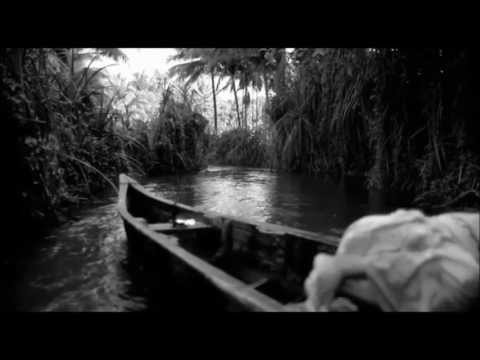 Narcotic 303 - Fauna