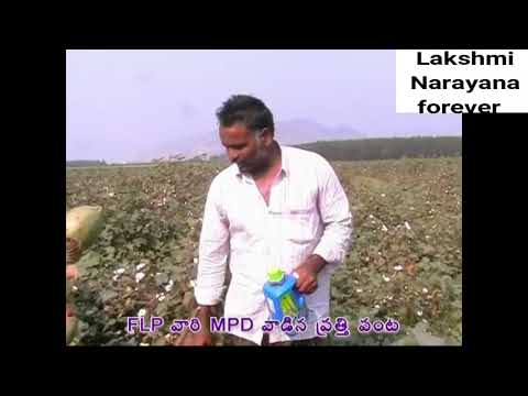 Forever MPD benefits in Telugu    MPD  for Agriculture Usage  720 X 720