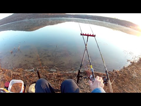 FIDER I METOD FIDER U MARTU NA GRUZANSKOM JEZERU - 4K VIDEO