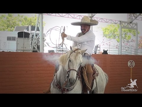 Piales 3 of 3 Gustavo Sanchez - Arena Vallarta 2017