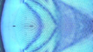 13th Floor Elevators Roller Coaster