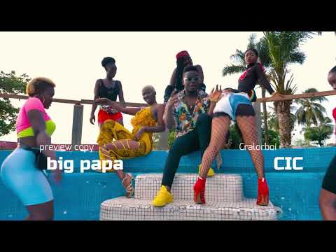 DJ Castro we the best LIB