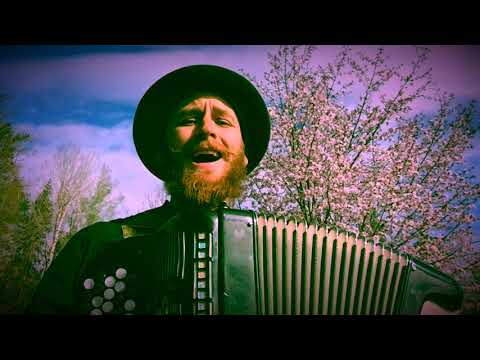 I Vinden Finns Ditt Svar - Bob Dylan PÅ SVENSKA!