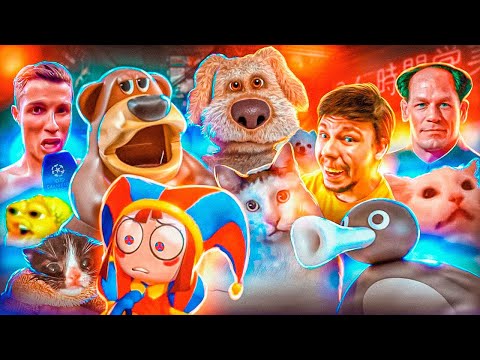 YouTube Thumbnail