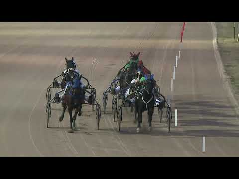 2021.02.06. 06. futam - KISKARCSI DÍJ