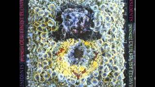 The Residents - Six Amber Things