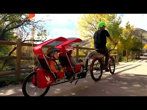 Kids Bike Trailer