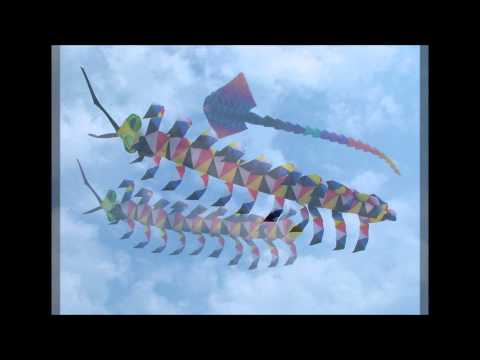 Kites Simon Dupree and the Big Sound