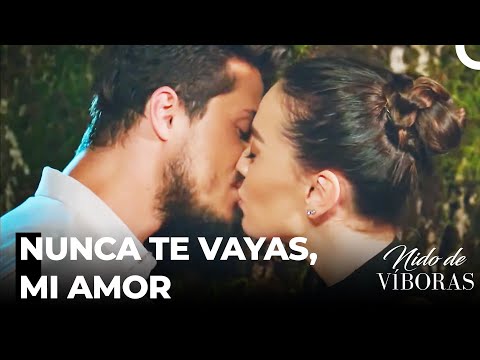 La Vuelta A La Mansión De Nagme - Nido De Víboras