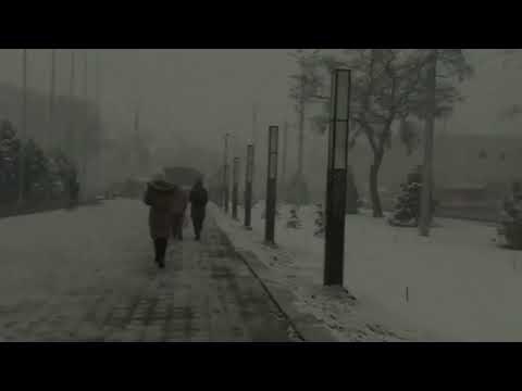 [ free ] Alpha Wann x Limsa D'Aulnay x Isha type beat - "mains froides" (prod. nausaah)