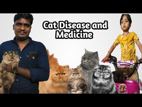 CAT DISEASE AND MEDICIE VIDEO IN TAMIL/ பூனைக்கு வரும் நோய் மற்றும் மருந்து