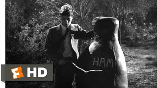 To Kill a Mockingbird (9/10) Movie CLIP - Boo is a Hero (1962) HD
