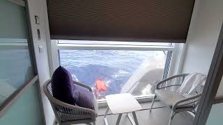 Infinite Verandah balcony room on board the Celebrity Apex Cruise ship