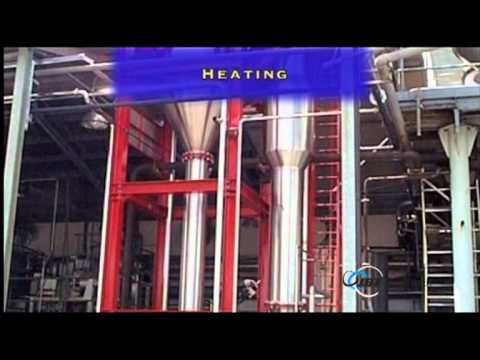 JBT Fruit and Vegetables Processing Line [09030]