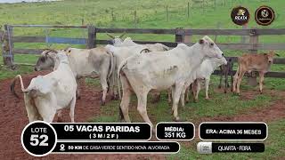 Vídeo LOTE 52