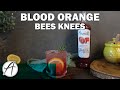 How to Make a Blood Orange Bees Knees | Perfect Fathers Day Cocktail