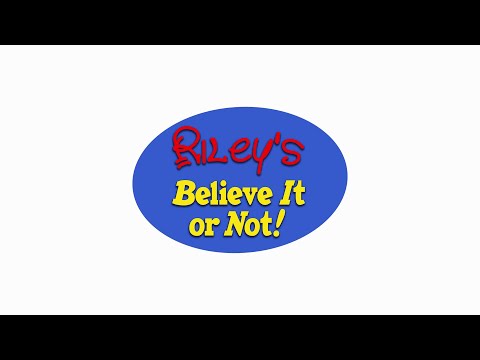 Riley @7 - ART NINJA