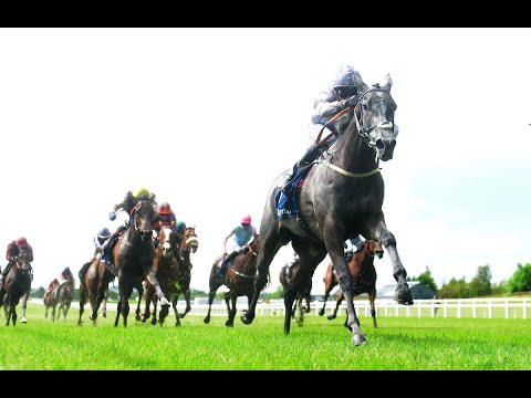 FALLEN ANGEL bounces back for Tattersalls Irish 1,000 Guineas glory