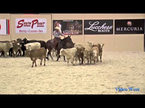 Special Nu Baby - Rocking K - The Mane Event - Mercuria Open - Score: 229