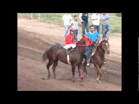 Zorrita vs Hereje vs Torino