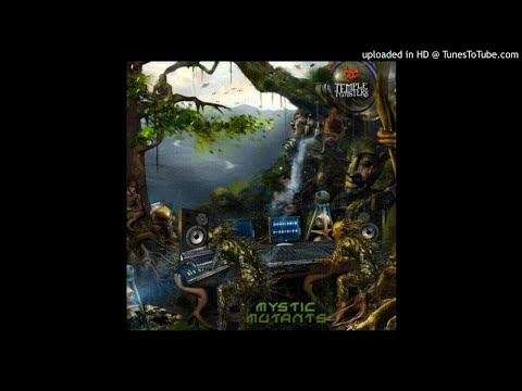 Fuzulu - Reality Accelerator