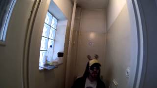 Der Reh - VBT Qualifikation 2013