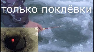 Зимняя рыбалка поклевки
