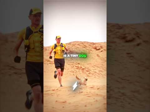 The Dog Wouldn’t Stop Chasing Him…😱🚨