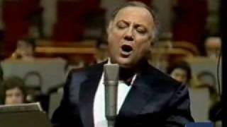 La Strada Nel Bosco Lyrics English Translation