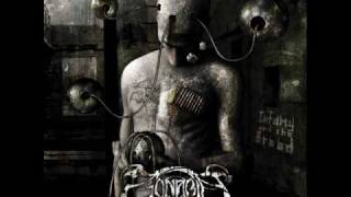 Bài hát Everything Is Wasteland - Nghệ sĩ trình bày Zonaria