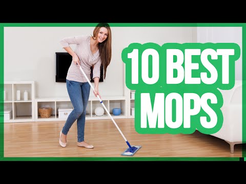 10 Best Mops 2018