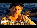 Steve Irwin S Jaw Dropping Encounter With Tiger Sharks Crocodile Hunter Animal Planet