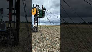 The Fastest Onion Harvest Setup!