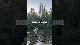 Fly Fishing in Maine for Brook Trout & Brown Trout | Fourth of July Weekend