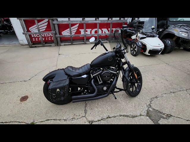 2019 Harley-Davidson® Sportster® Iron 883™ Motorcycle