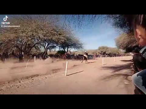 mala fama vs falopero  21.08.2022