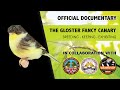 The Gloster Fancy Canary - Official Documentary
