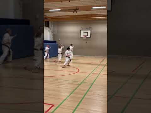 IJKA ASAI RYU KATA - KIHOKEN YONSO